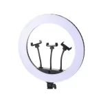 Jmary FM-18R Ring Light with triple phone holder – 18 inch LED lighting for content creators