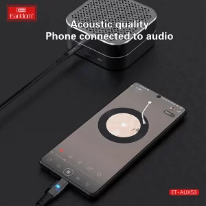 A professional photo of a clean product against a white or light gray background. The cable should be neatly coiled or arranged in an "S" shape to show its full length of one meter. Both the Earldom AUX53 USB-C and 3.5mm connectors should be clearly visible and facing the camera.
