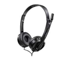 Rapoo H100 Wired Stereo Headset  3.5mm, Adjustable Mic & Volume