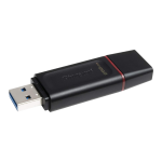 Kingston Data Traveler 256GB